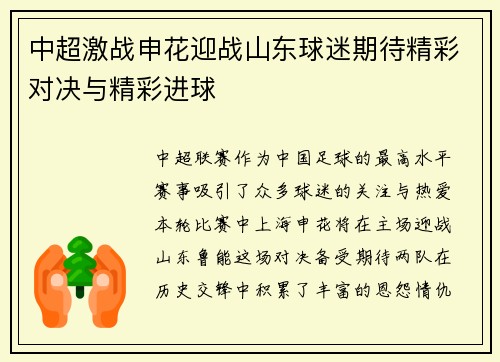 中超激战申花迎战山东球迷期待精彩对决与精彩进球