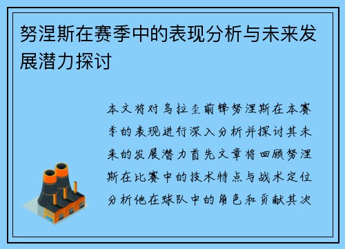 努涅斯在赛季中的表现分析与未来发展潜力探讨